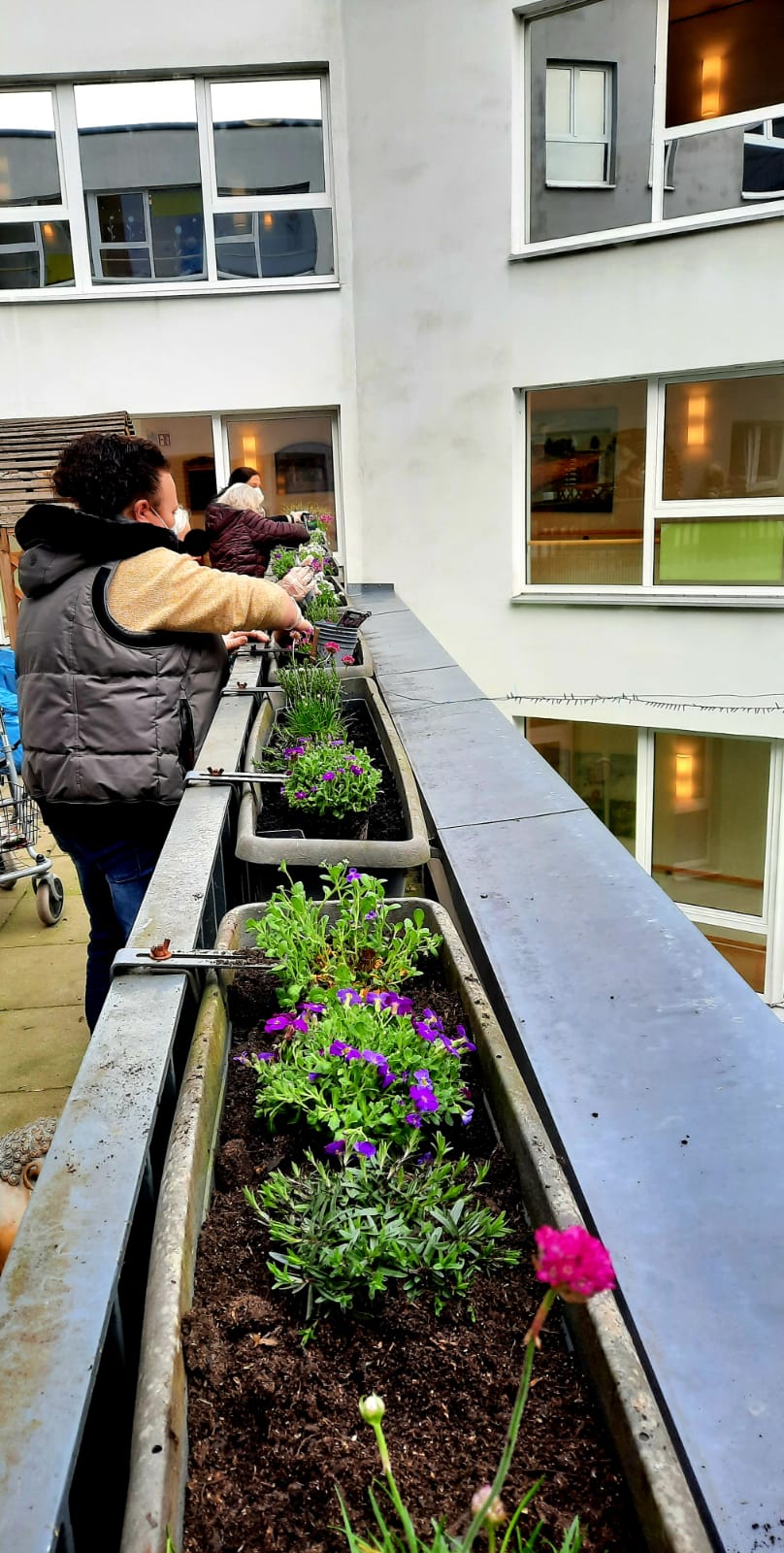 Bewohner pflanzen Blumen in die Blumenkästen der Terrasse der Alloheim Senioren-Residenz Aaseehof in Münster ein