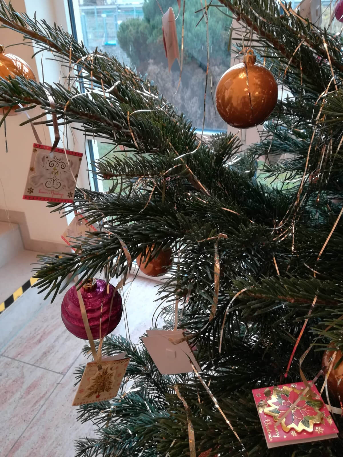 Wunschzettel hängen an Weihnachtsbaum für die Wunschbaum-Aktion im Pflegeheim "AGO Rosbach"