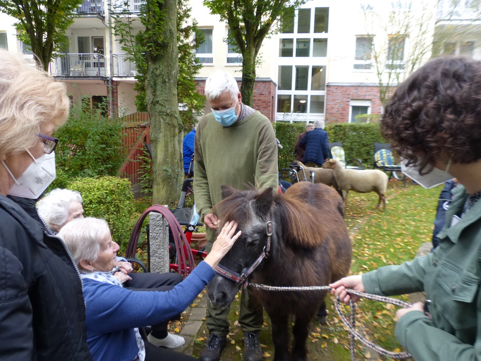 Pony streicheln beim Tier-Besuch in der Residenz Am Lindenberg in Salzgitter-Thiede