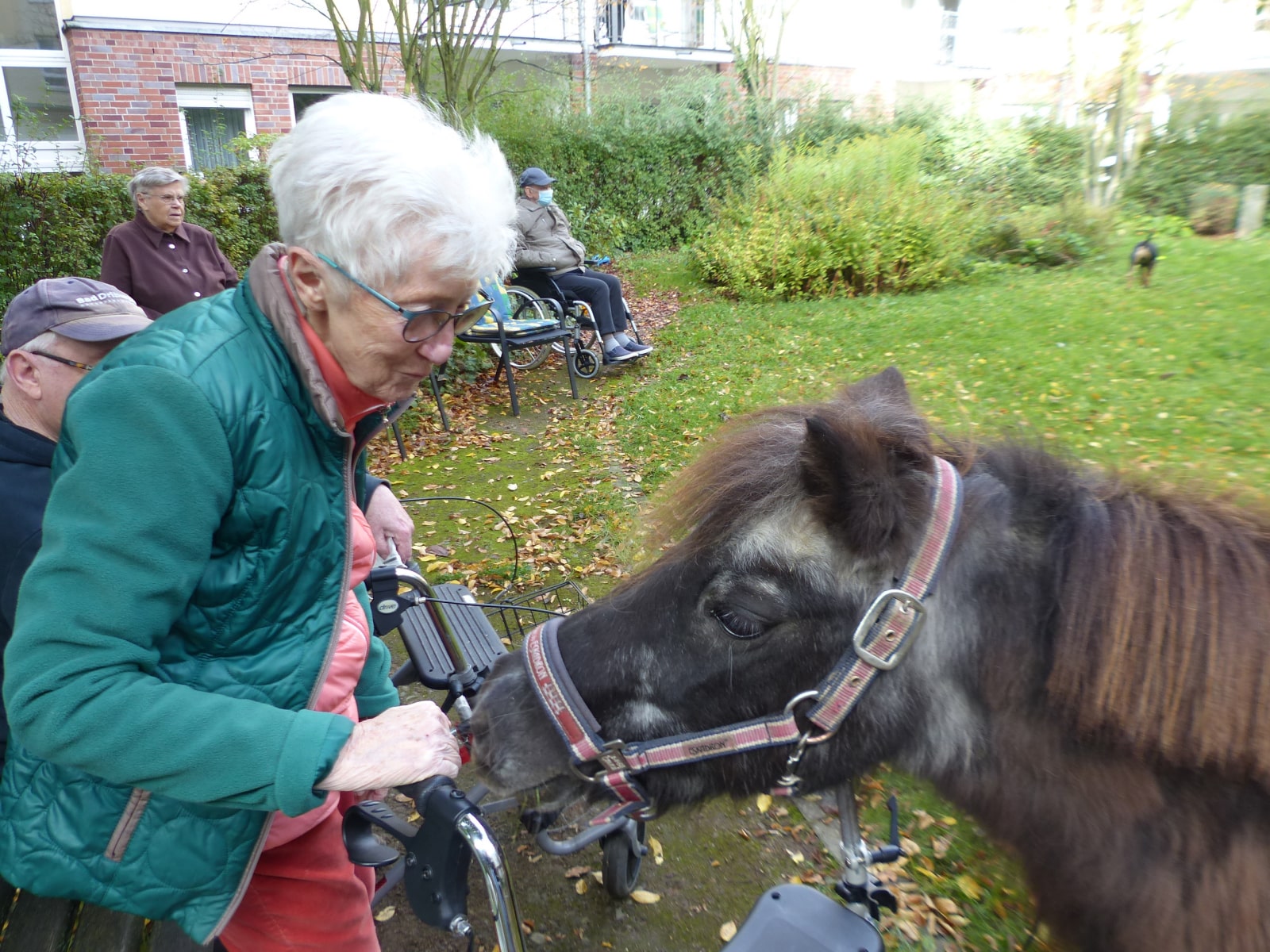 Pony zu Besuch in der Residenz Am Lindenberg in Salzgitter-Thiede