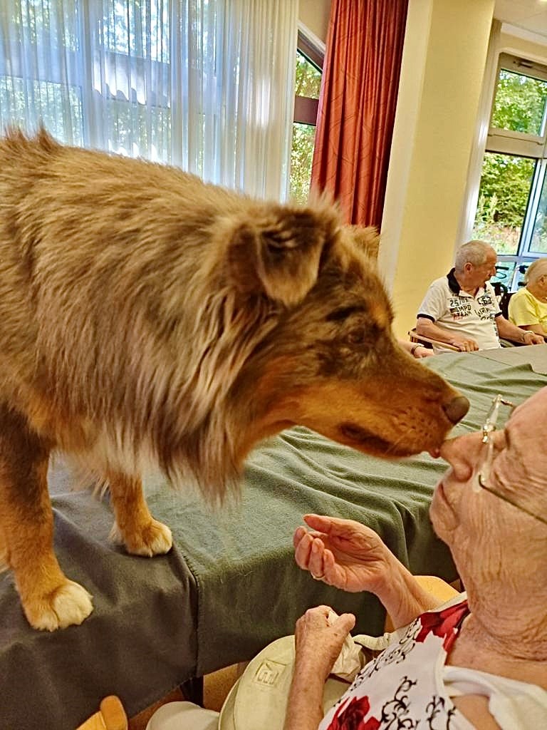 Tiergestütze Therapie: Besuch vom Hasen Harry