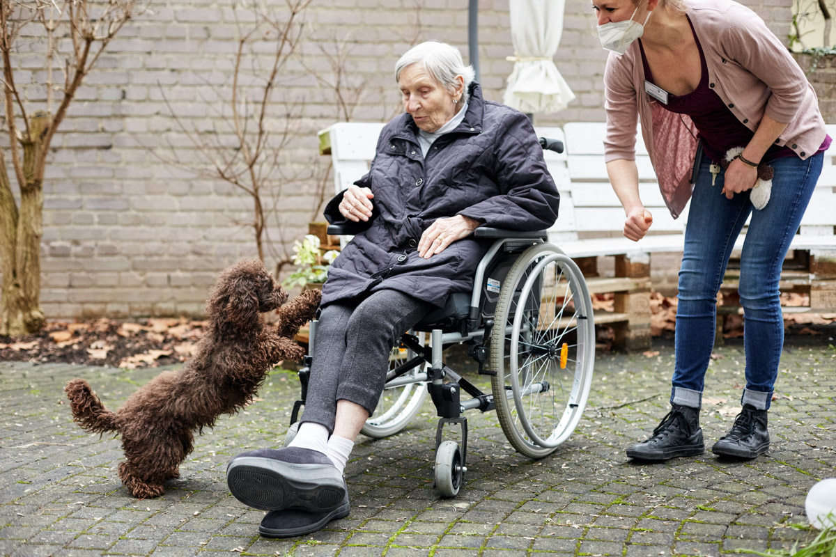 Mitarbeiterin der Sozialen Betreuung in einer Alloheim Senioren-Residenz betreut Seniorin mit Therapiehund